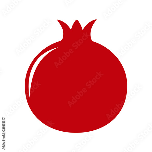 Garden pomegranate icon
