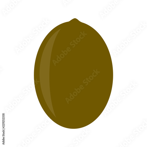 Garden Kiwi icon