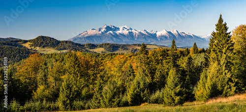 Fototapeta Naklejka Na Ścianę i Meble -  Morning panorama of snowy Tatra Mountains over colorful autumn forest, Poland