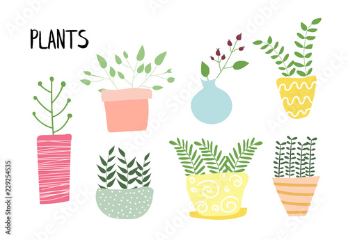potted plants collection. succulents and house plants. hand drawn vector art.  Set of house indoor plant vector cartoon doodle.