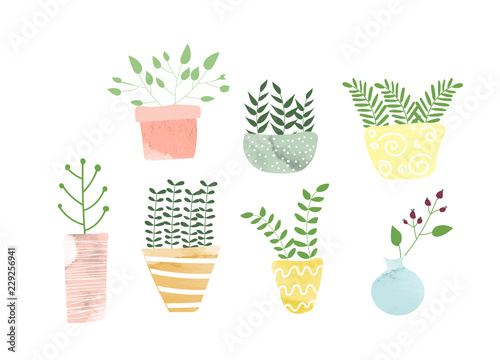 potted plants collection. succulents and house plants. hand drawn vector art.  Set of house indoor plant vector cartoon doodle.