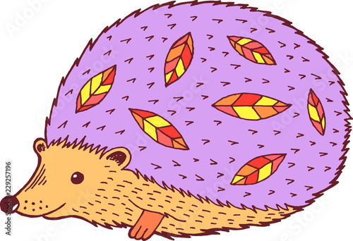 Cartoon hedgehog - colorful graphic drawing. Isolated doodle element for graphic design. Vector illustration