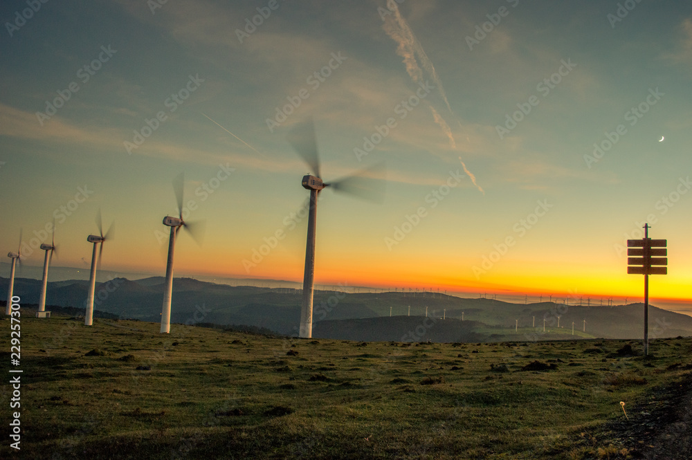 Obraz premium wind turbines at sunset