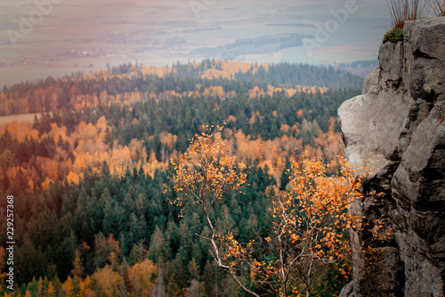 Fototapeta Naklejka Na Ścianę i Meble -  View at fall season time forest in South Poland, Beskidy mountains