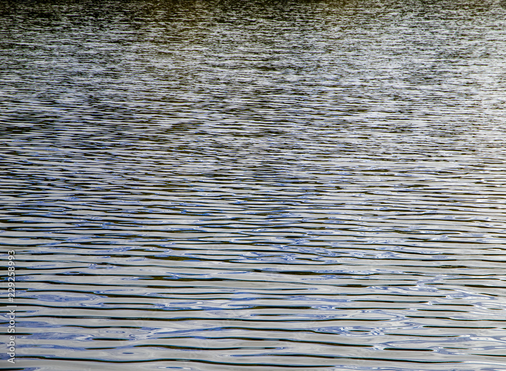 Water's Surface Water's Surface