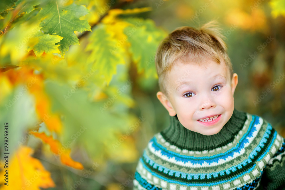 little boy walks in autumn park smiling funny little boy walks in autumn park smiling funny