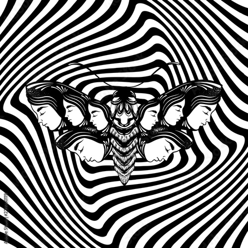 Vector hand drawn illustration of moth with female faces on the wings. Fantasy, occultism, tattoo art. Template for card, poster banner print for t-shirt.