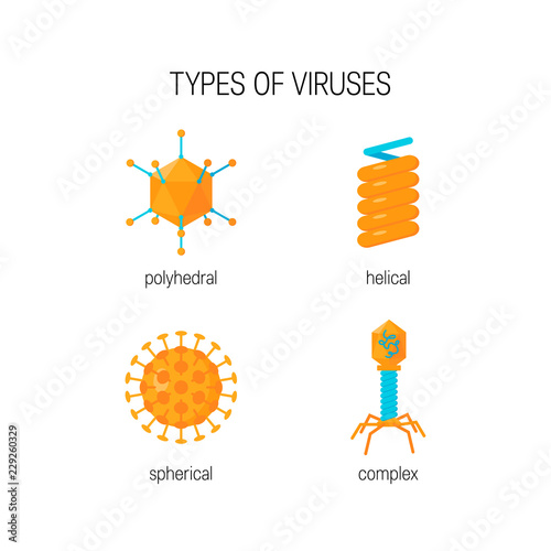Types of viruses vector concept