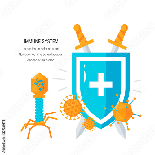 Immune system vector concept