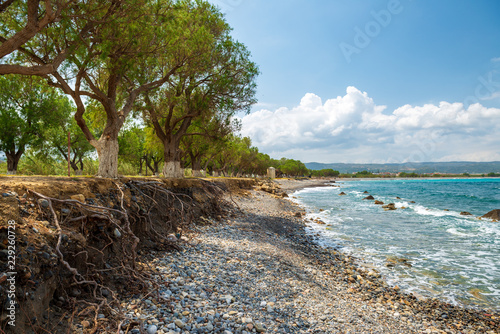 Fototapeta Naklejka Na Ścianę i Meble -  beach and sea
