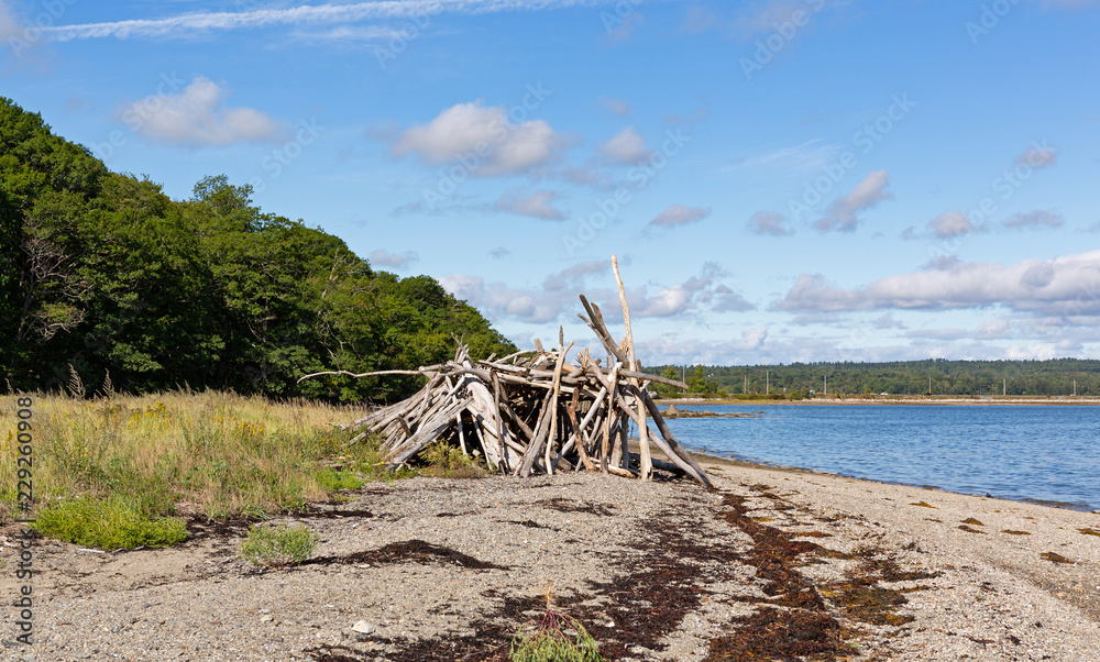 Driftwood sticks arranged in a haphazard lean to on Sears Island in Maine. Driftwood sticks arranged in a haphazard lean to on Sears Island in Maine.