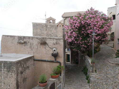 Verezzi - caruggi nella borgata Roccaro photo