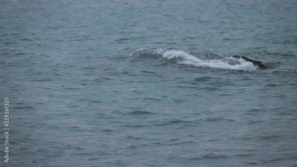 Waves breaking on stone. Slow motion