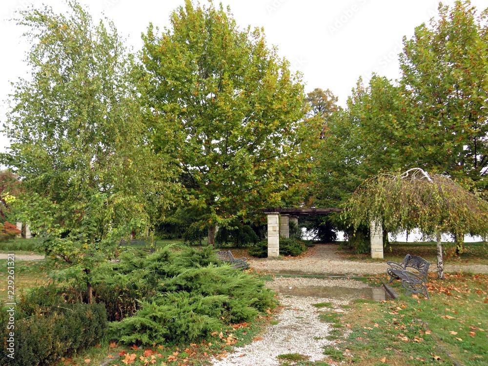 Autumn in the park. Empty path in the park  - depression