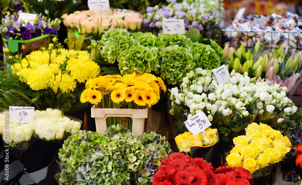 The famous Amsterdam flower market (Bloemenmarkt).