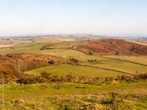 hardy monument tall building old special england dorset black down countryside nature landscape photo