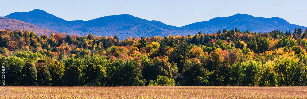 corn field with hills and mountains dressed in bright autumn colors of fall foliage 