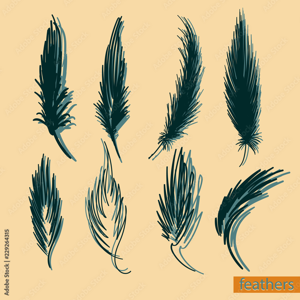 Set of isolated falling white fluffy twirled feathers on transparent background in realistic style vector illustration