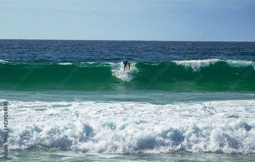 surfer while riding a wave in Fuerteventura, Canary Islands