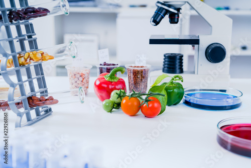 Quadro su tela Chemical Laboratory of the Food supply