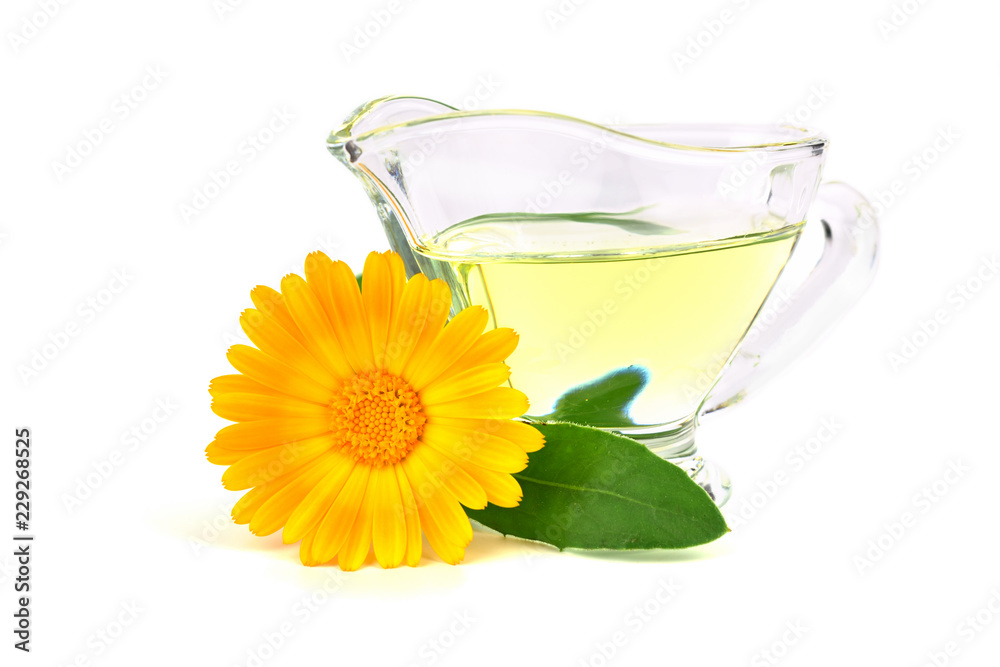 Common Marigold Flower (Calendula Officinalis) Essential Oil Extract.  Isolated on White Background. Also Ruddles, Pot or Scotch Marigold. Stock  Photo | Adobe Stock