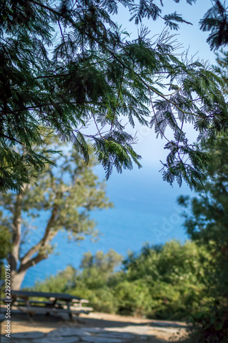 Fototapeta Naklejka Na Ścianę i Meble -  A beautiful day in forest and sea in Rmilat forest in Tangier