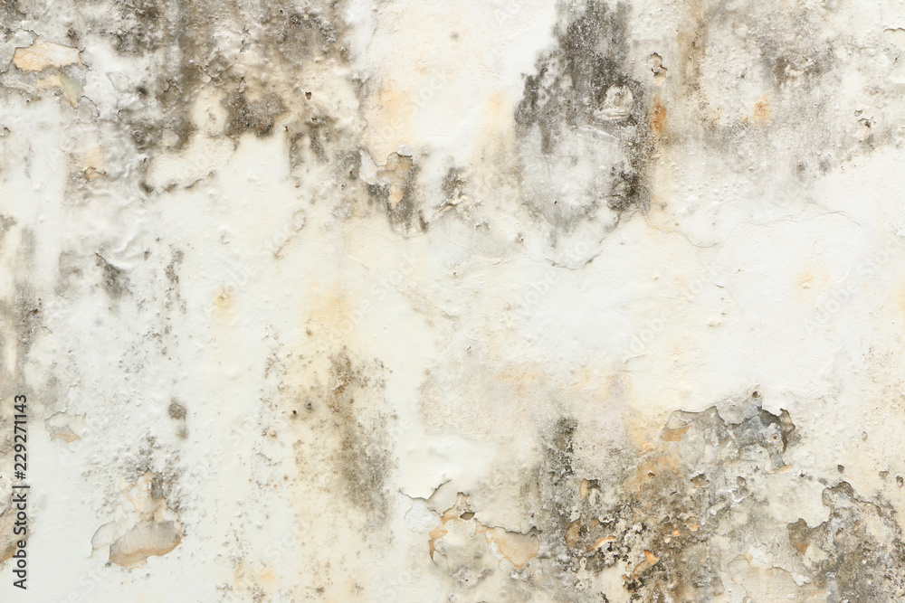 abstract arid brinks wook floor land abstract arid brinks wook floor land