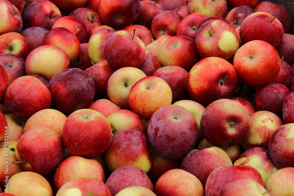 Crate of various red apples clumped as a texture Crate of various red apples clumped as a texture