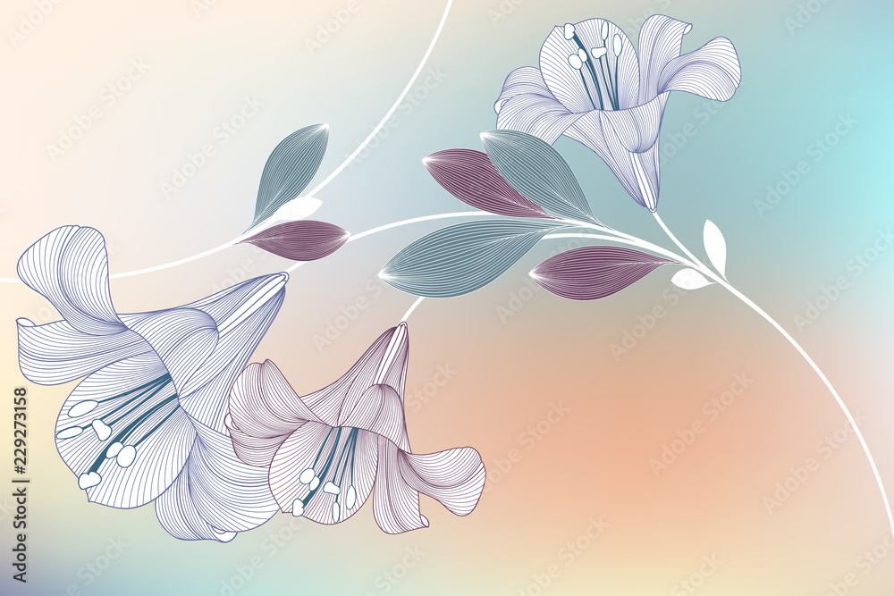 Spring background with lily flowers.