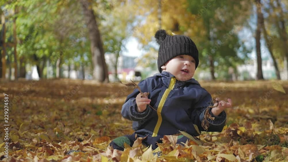 Little baby boy sitting on grass and fallen leaves in park on bright and sunny early autumn day looking at yellow leaf in hand and smiling. Happy baby boy throws autumn leaves and laughs outdoors. Little baby boy sitting on grass and fallen leaves in park on bright and sunny early autumn day looking at yellow leaf in hand and smiling. Happy baby boy throws autumn leaves and laughs outdoors.