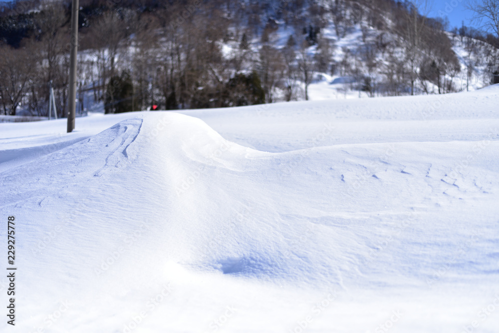 降り積もった雪