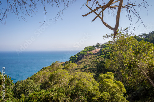 A beautiful day in forest and sea in Rmilat forest in Tangier photo