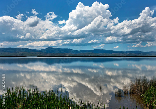 Fototapeta Naklejka Na Ścianę i Meble -  Bear lake