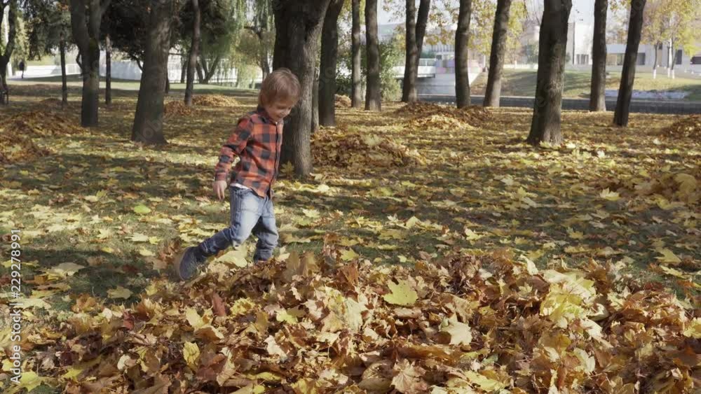 Happy little boy playing with autumn leaves throwing leaves in park Happy little boy playing with autumn leaves throwing leaves in park