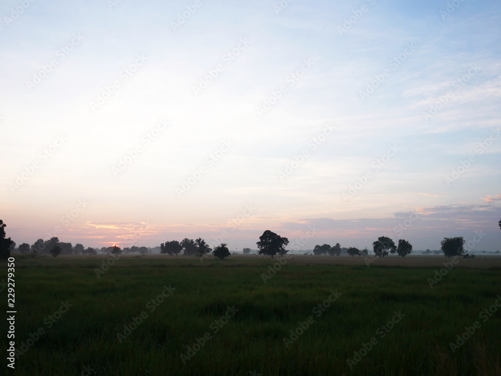 Beautiful sunlight, sky and filed landscape in the morning. Beautiful sunlight, sky and filed landscape in the morning.