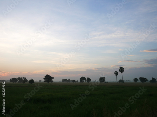 Beautiful sunlight, sky and filed landscape in the morning.
