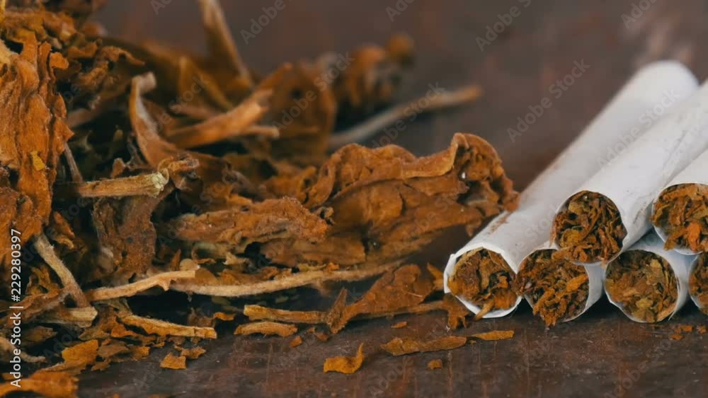 Home-made cigarettes or roll-ups are on the table next to big leaves of dry tobacco Home-made cigarettes or roll-ups are on the table next to big leaves of dry tobacco