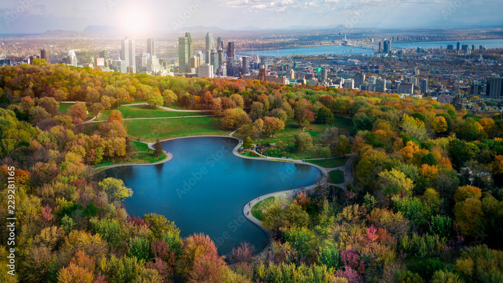 Obraz premium Kolory jesieni w Montrealu