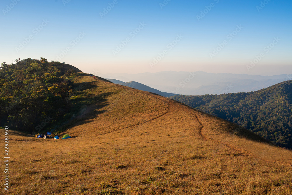Beautiful view of golden meadow on top of mountain