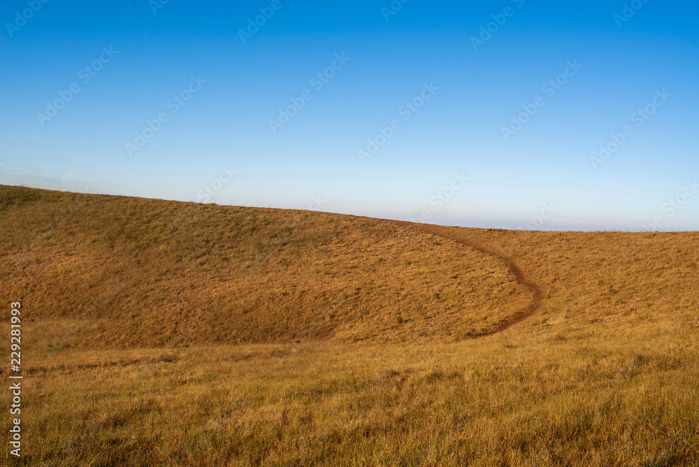 Beautiful view landscape with wheat field on top of mountain and blue sky