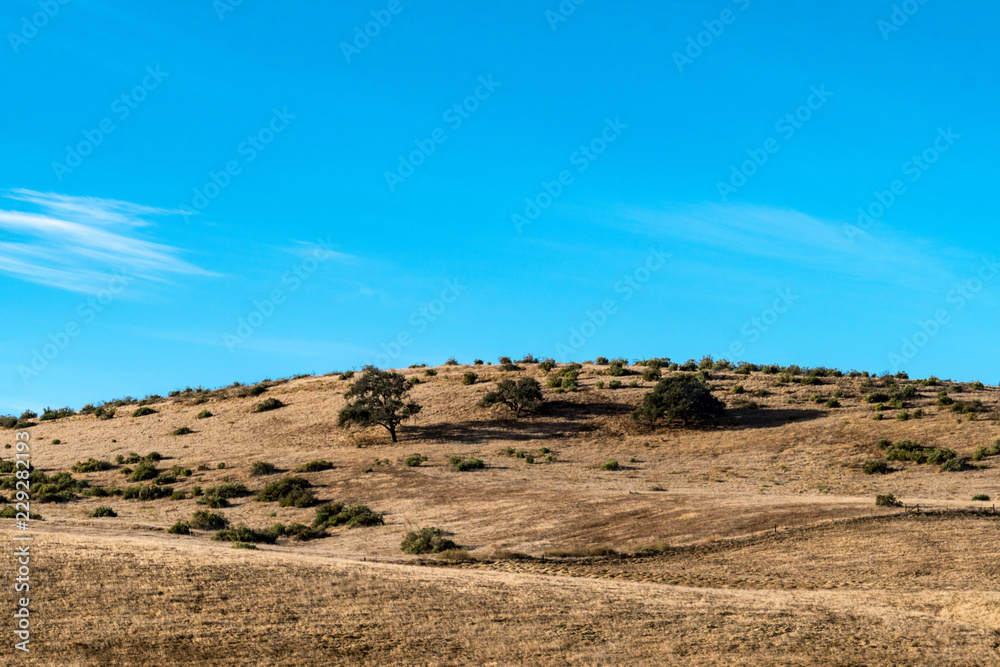 Early morning light on the foothills and dry grasses in Monterey County, California, near the Highway 101 interstate Early morning light on the foothills and dry grasses in Monterey County, California, near the Highway 101 interstate