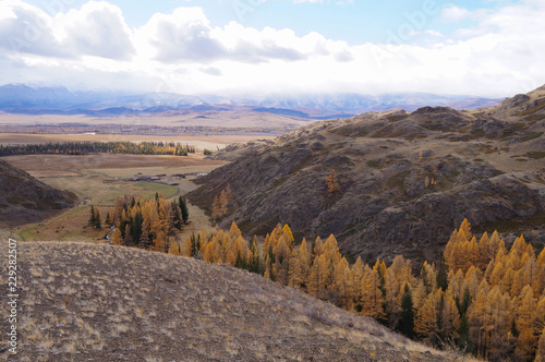 Beautiful Kurai Valley in autumn,Altai,Russia.
