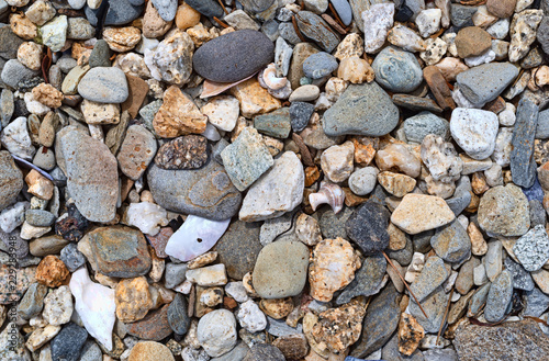 Close view of a broken seashells plus colorful rocks and pebbles.