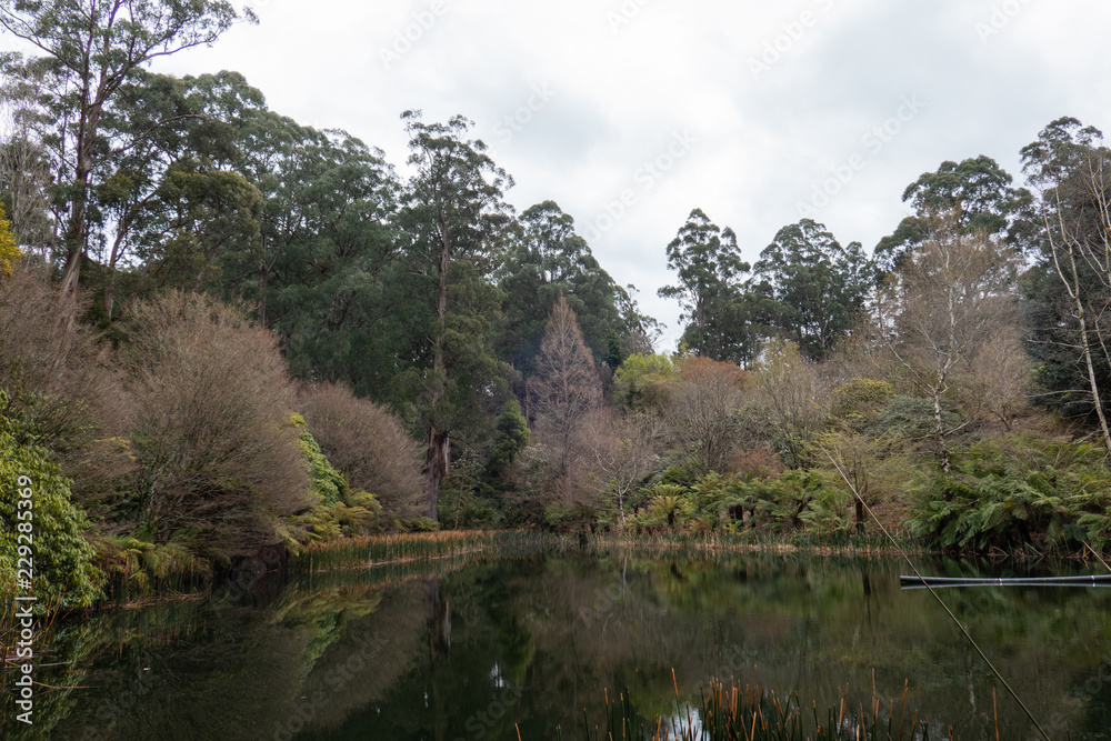 Lake view with dense tree plantation.