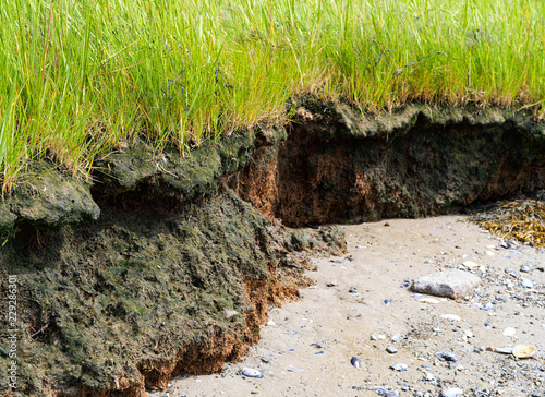 Fotografie Close view of the erosion of a beach and coastline with brown topsoil and dirt and green grass above