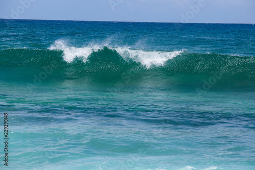 Fototapeta Naklejka Na Ścianę i Meble -  Kauai Wave