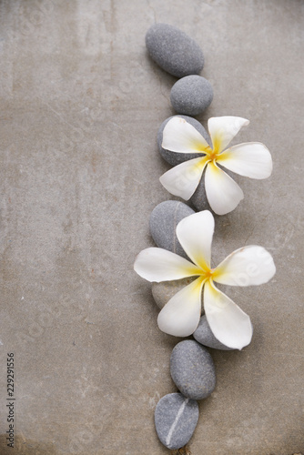 White orchid and stones close up.