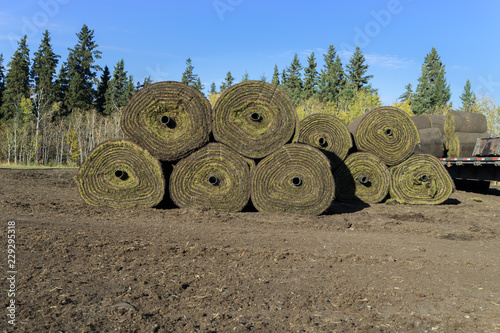 Industrial sod installation