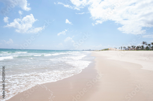  Landscape of the beach