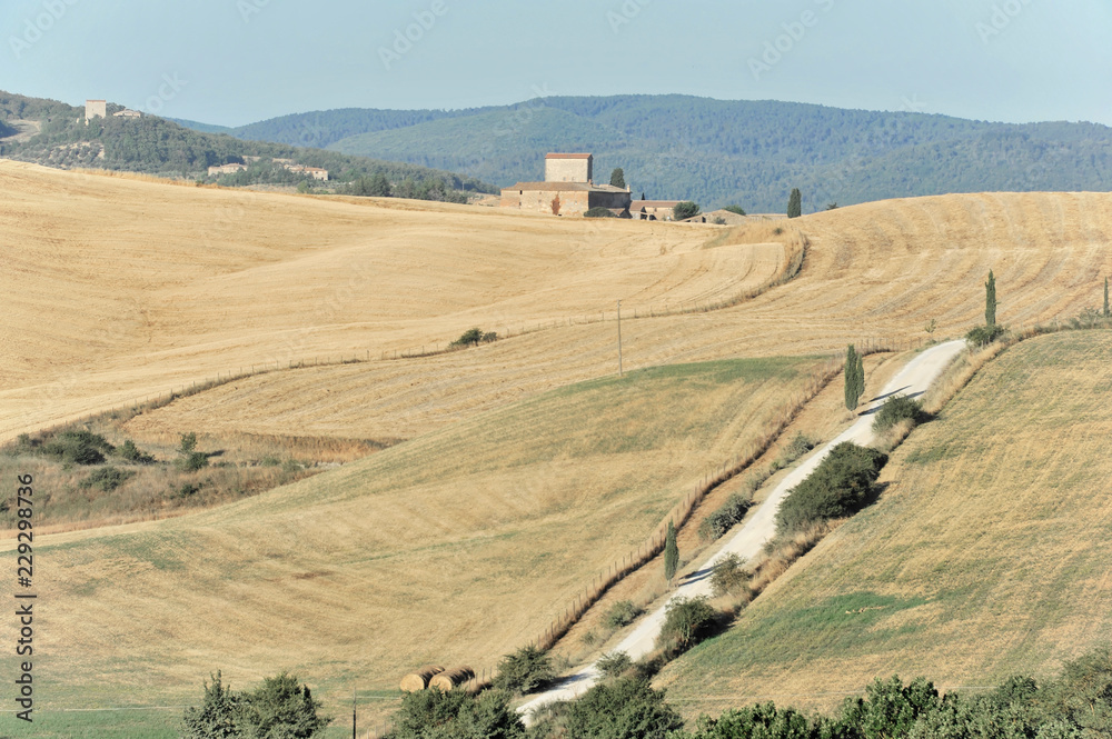 Abgeerntete Felder südlich von Siena, Crete Senesi, Toskana, Italien, Europa